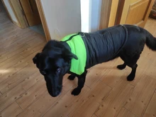 Chaleco impermeable para perros grandes y pequeños, abrigo cálido de invierno para cachorros, ropa para mascotas, 4XL, 5XL, nuevo