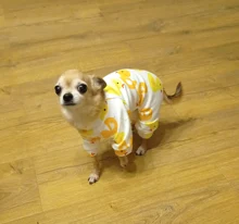 Dogs-Pajamas Clothing Shirt Puppy-Jumpsuit Pomeranian Chihuahua Dog-Coat Pet-Dogs Small