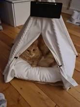 Tipi de Gato con cojín y pizarra para perros, carpa portátil para perros y casas de mascotas, tienda plegable de lona de madera para mascotas, cama para animales pequeños