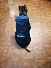 Dog-Coat Winter HOOPET for Dogs Clothing Warm Christmas Big