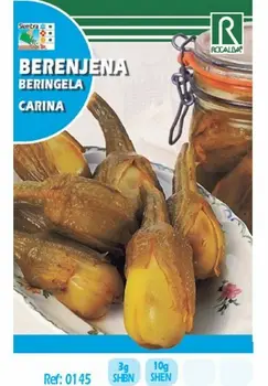

Semence for planting vegetable eggplant CARINA