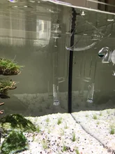 AQUARIUM-FILTER Lily-Pipe Outflow Glass Surface-Skimmer Planted NICREW And with 13mm