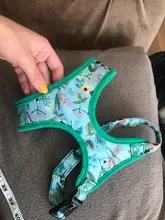 Cute Printed Chihuahua French Bulldog Harness Adjustable Puppy Cat Harness Pet Small