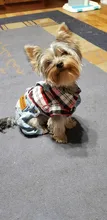 Jeans Clothing Jacket Coat Dog-Costume Puppy Dogs Small Denim Pet Medium for Chihuahua