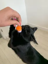 pawstrip Soft Fleece False Mouse Cat Toys Colorful Feather Funny Playing Toys For Cats