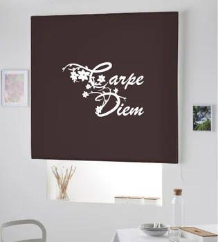 

Blind Iroa rolling youth/Hornbeam Diem! ROLLER BLINDS TRANSLUCENT! (CHOCOLATE 100X175)