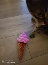 Squeaky Pet Cat Toys for Cats Catnip Plush Cat Toy Plush Kitty Katten speelgoed gatos