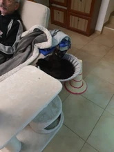 Cat Hammock Pet-Bed Hanging Sleeping-Kennel Install-On-Cat-Tree Soft Plush Dia Big-Capacity