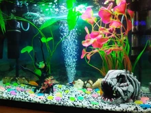 Aquarium Decorative Grass-Plant Fish-Tank Simulation PVC Environmental-Protection-Materials