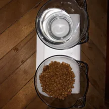 Cat-Bowls Feeders Raised-Stand Dogs Cats Double Non-Slip with Pet-Food 