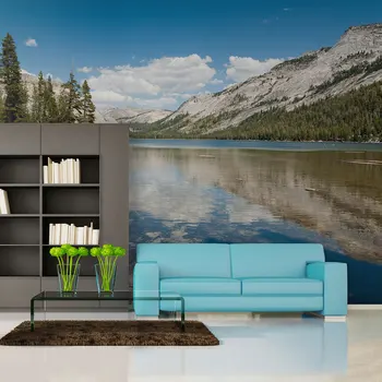 

Wall mural-Tenaya Lake - Yosemite National Park - 250x193 cm