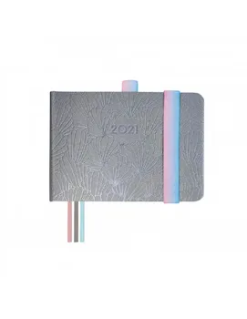 

Annual framework AGENDA DESIGN M0 SV 2021 NACAR +