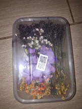 1 caja de hojas de flores prensadas reales, resina de margaritas secas, calcomanías de belleza para uñas, moldes de epoxi, embellecedores para fabricación de joyas