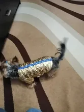 Coat Puppy Clothing Jacket Puppy-French-Bulldog Dogs Waterproof Chihuahua Winter Vest