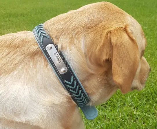 Yavru Kopek Tasmasi Deri Kopek Tasmasi Kedi Tasmasi Hep21