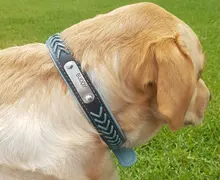 Cat-Nameplate-Collar Engraved Puppy Dogs Custom Personalized Adjustable Pug for Small