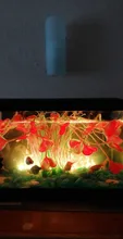Aquarium Decorative Grass-Plant Fish-Tank Simulation PVC Environmental-Protection-Materials