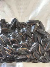 Máquina selladora al vacío para envasado de alimentos, máquina empaquetadora de alimentos al vacío, LED, 2021 V/220V, mejorada, 110