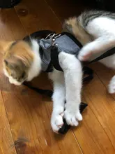 Lead-Vest Harness-Leash Guinea-Pig Hamster Animals Small Mesh Pet-Strap Cotton