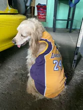 Ropa de perro, chaleco de malla para perros pequeños, medianos y grandes, uniforme de fútbol de la Copa del Mundo, ropa de baloncesto para gatos y Mascotas