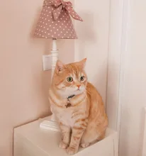 Etiqueta de identificación de Gato de acero inoxidable para mascotas, etiquetas de nombres de mascotas, Collar para gatos, accesorios con teléfono, sexo y etiquetas de nombres, grabado gratis