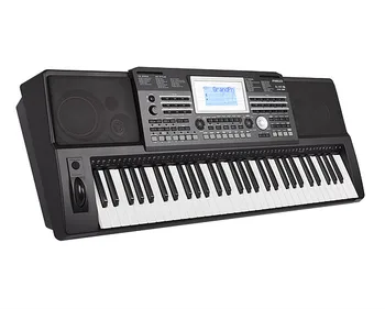 

A810 synthesizer, 61 key, medeli