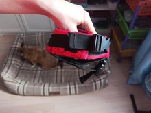 Chaleco Salvavidas para perro, chaqueta Salvavidas para mascota, ropa de seguridad, traje de baño para mascotas, Chaleco de seguridad para verano
