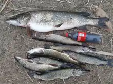 Floating Wobbler Crankbait-Tackle Fishing-Lure Minnow Hard-Bait Treble-Hooks Swimbait