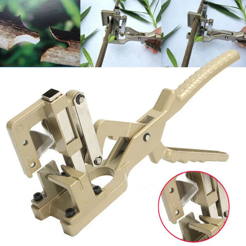Tree cutting tools clipart image