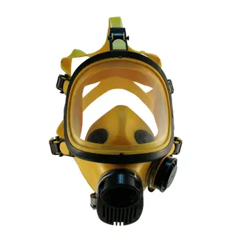 

Gas mask-mask panoramic