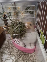Animal PEQUEÑO de conejo para mascotas, inodoro, orinal, esquina, limpia, bandejas de arena, caliente
