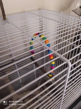 Columpio de madera Natural para loros, jaula colgante con cuentas de colores para pájaros, suministros de campanas, juguetes para mascotas, 1 unidad