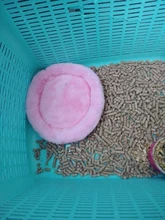 Bed-Pad Hamster-Accessories Hedgehog Sleep-Mat Chinchilla Squirrel Rabbit Nest Velvet