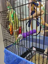 Toys Parrot Cage Claw-Stand Perches Cockatiel Pet-Bird Parakeet Hanging-Toy Chew-Grinding