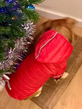 Small Dog Clothes Winter Warm Pet Dogs Coat Jacket Puppy Cat Outdoor Clothing Hoodies