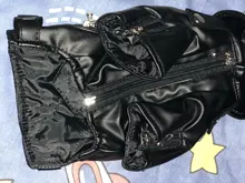 Jacket Dog-Coat Puppy Eagle-Pattern Waterproof Outdoor Outerwear Pet Small Soft Fashion