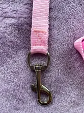 Training Leash Harness Strap-Belt Dog-Collar Nylon Walking Pet-Dog 120cm--1.5cm Cats