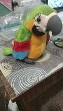 Peluche de loro parlante eléctrico para niños, juguete de peluche de pájaro parlante con alas que se repiten, regalo para niños