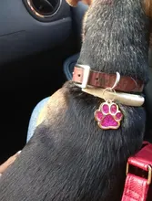 Id-Collar Pendant-Supplies Pet-Name-Tag Customized Dog Metal Personalized Engraving Puppy