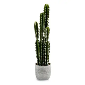 

Cactus Plastic Cactus (17 x 80 x 17 cm)