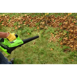 Садовая аккумуляторная воздуходувка GreenWorks G40AB (2400807)|Воздуходувки и пылесосы| |