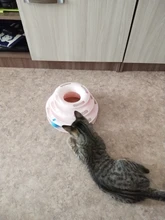 Juguete para gatos de 3 niveles, divertido juguete de torre con pistas de discos para gatos, placa de entretenimiento de inteligencia para gatos