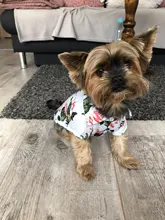 Camisetas de verano para perros, ropa de playa, chaleco para mascotas, camiseta Floral, Hawaiana para gatos pequeños y grandes, Chihuahua