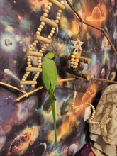 8Pcs/Set Bird Parrot Toys Wooden Hanging Swing Hammock Climbing Ladders Perches