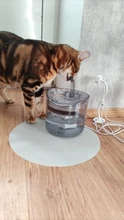 Cat-Water-Fountain Faucet Drinker Pet-Sensor TRANSPARENT-FILTER Dog-Water-Dispenser Downypaws