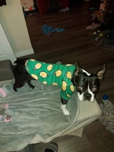 Warm Dog Sweatshirt Puppy-Clothes Dog-Costume Soft-Fleece Chihuahua Winter Yorkshire