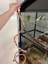 Juguete de percha para pájaros de colores, cuerda de tela de algodón para loros, lámpara tipo jaula para Bar, soporte en espiral con campana, suministros para pájaros, juguete para mascotas, novedad