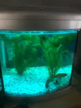 RGB Aquarium Lamp Light Remote-Control Fish-Tank-Essential Plants Colorful for Amphibious-Use