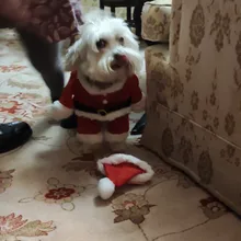 Apparel Costume Christmas-Clothes Dog-Suit Pet-Coat Santa-Claus with Winter Gomaomi Cap