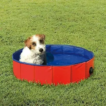 

Pool for dogs
